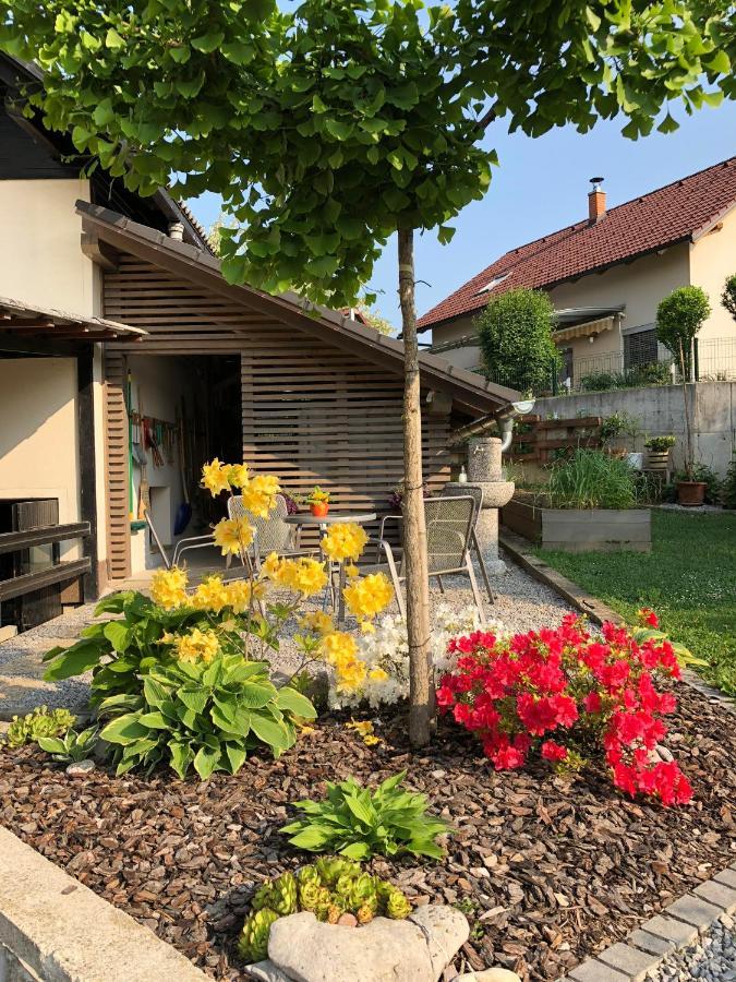 Apartma Nomad Novo Mesto Luaran gambar